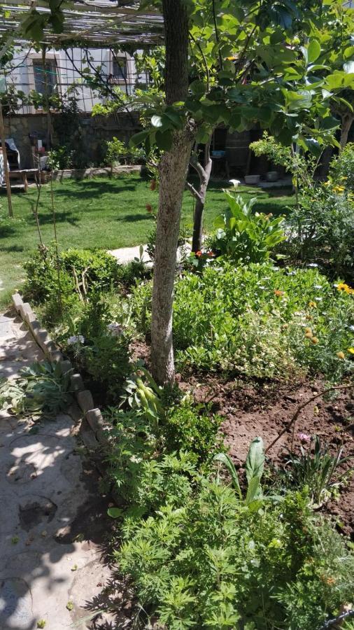 Apart Turgutreis Exterior photo